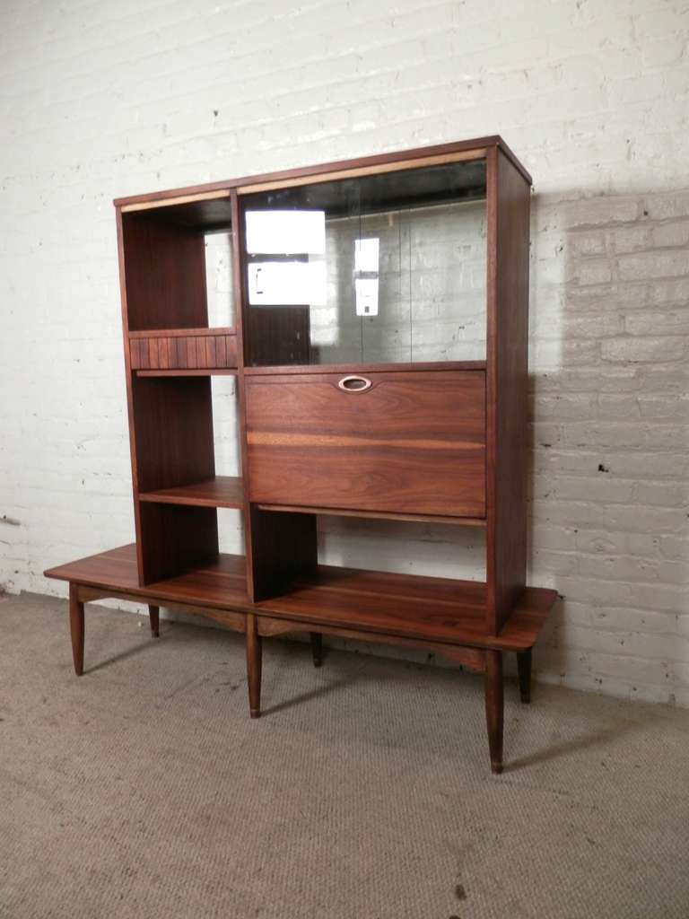 Attractive Mid-Century Walnut Room Divider
