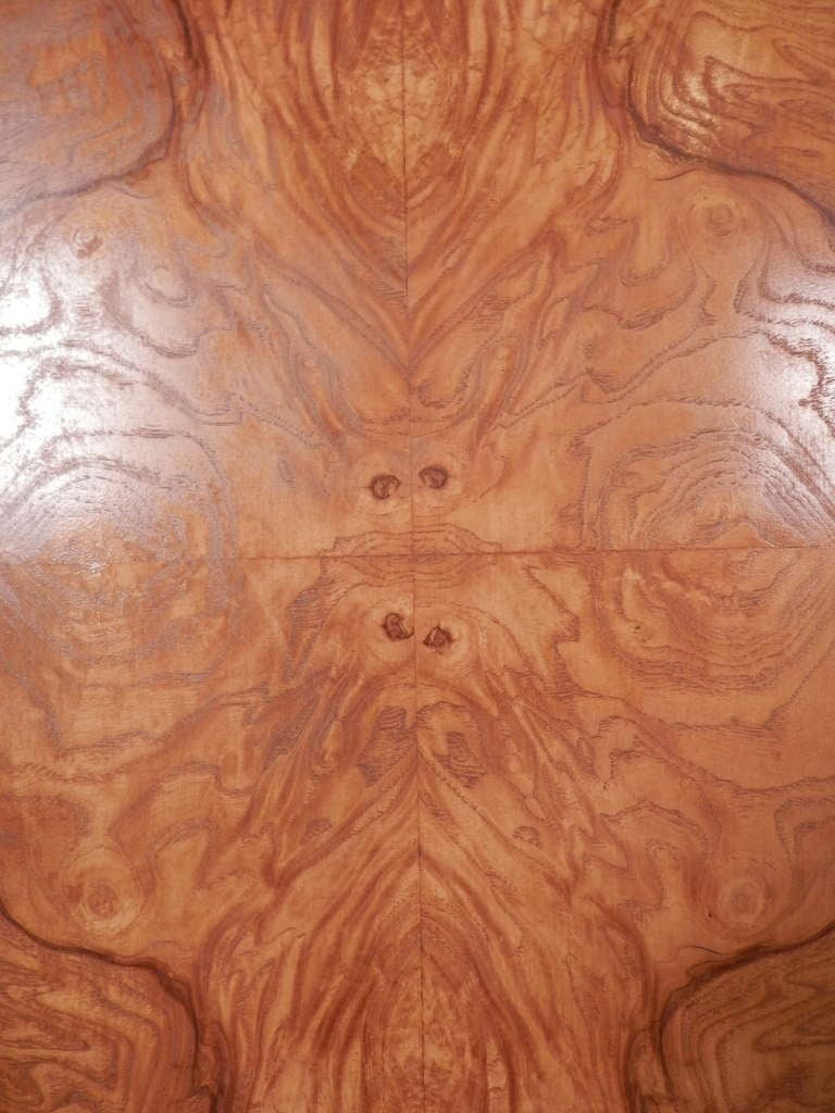Large Burl Wood Cabinet In Excellent Condition In Brooklyn, NY