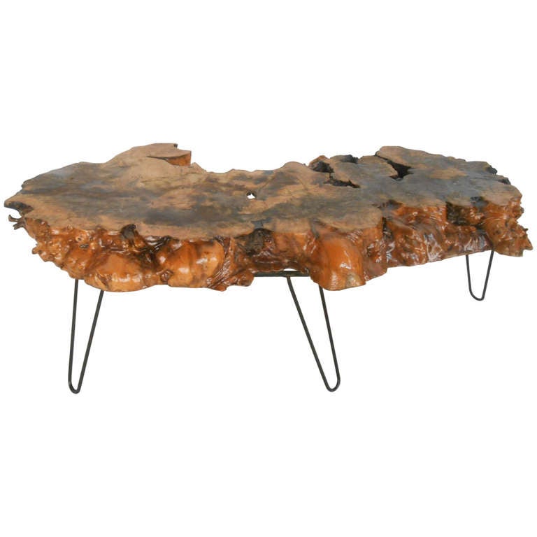 Burlwood Slab Coffee Table