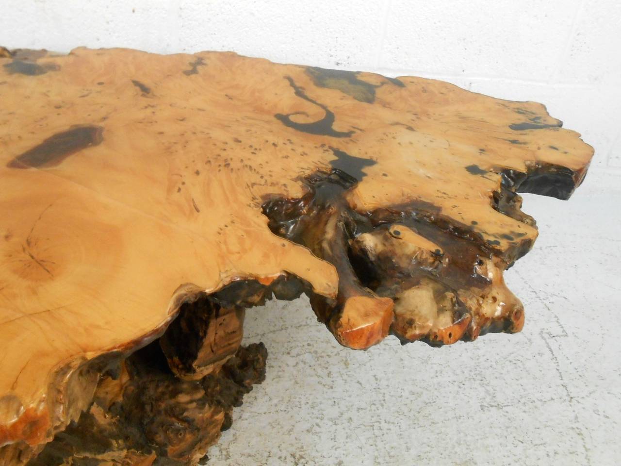 Rustic MidCentury Modern Free Edge Burl Wood Coffee Table at 1stDibs