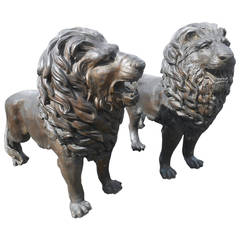 Pair of Majestic Bronze Lion Garden Statues 7