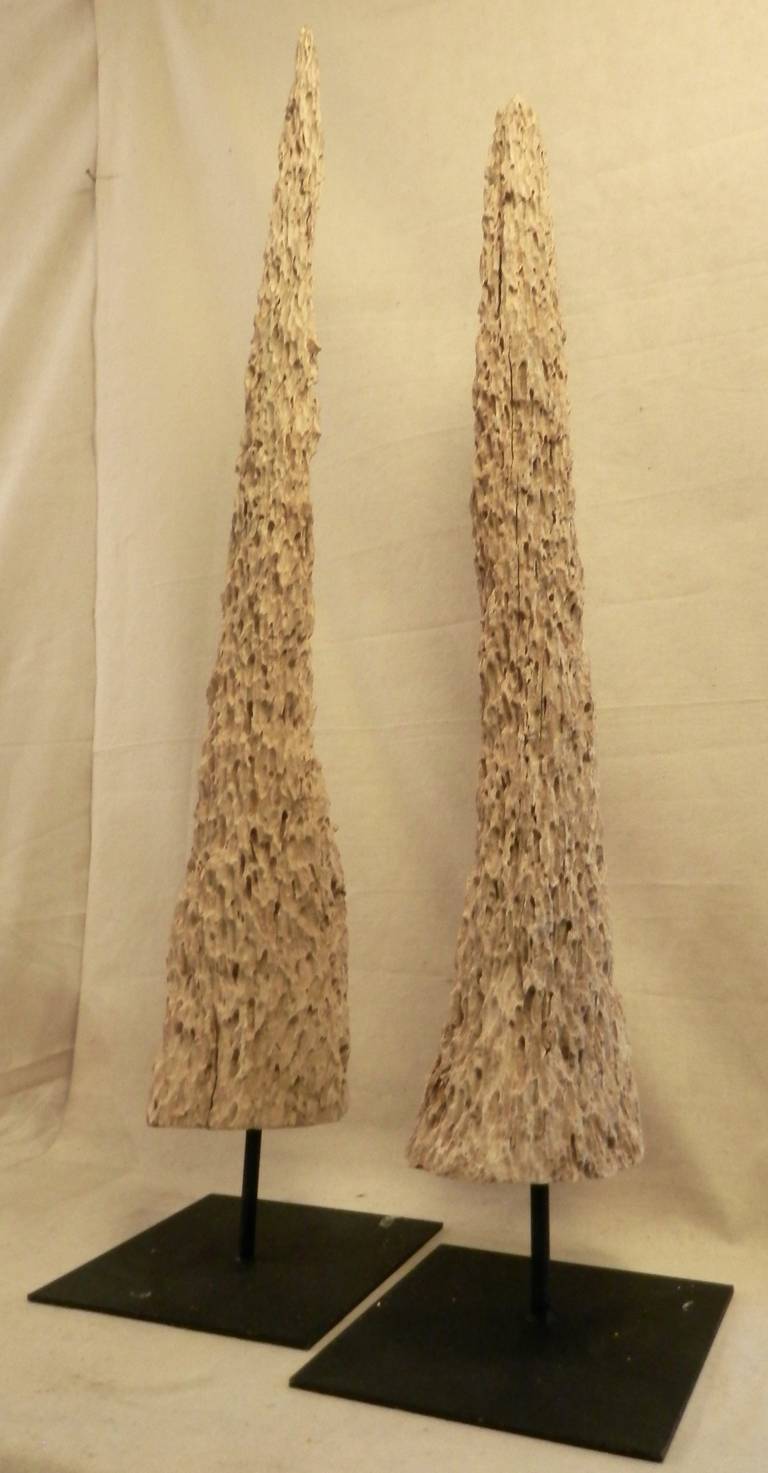 Pair Of Unique Petrified Wood Sculptures On Custom Display Stands