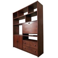 Vintage Modern Wall Unit