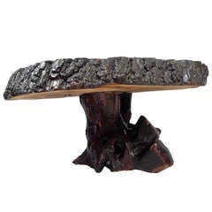 Tree Slab Coffee Table