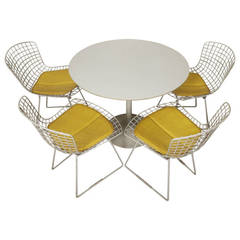 Vintage Mid-Century Outdoor Set By Harry Bertoia for Knoll