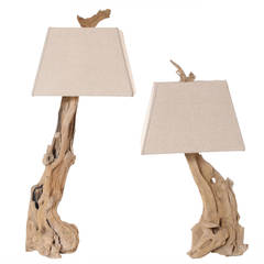 Sculpted by the Wind, Pair of Bristlecone Pine Tree Wooden Lamps