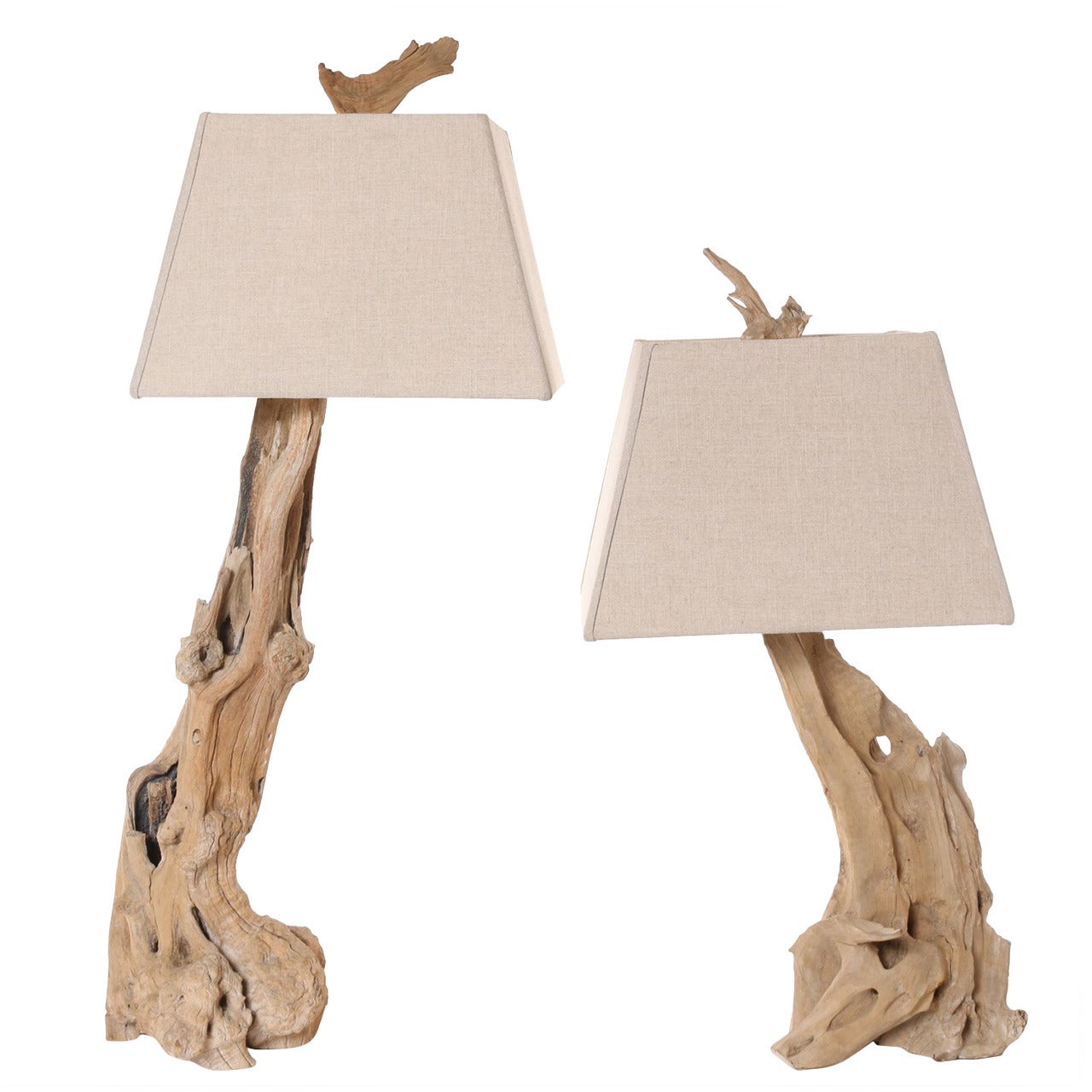 Sculpted by the Wind, Pair of Bristlecone Pine Tree Wooden Lamps