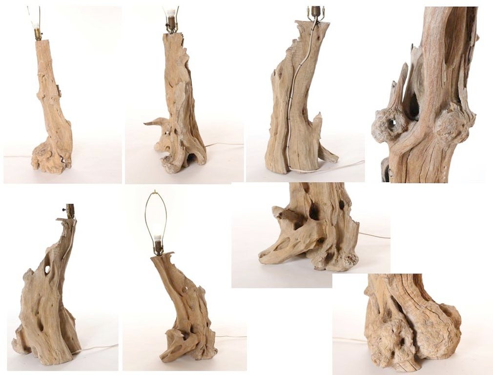 Sculpted by the Wind, Pair of Bristlecone Pine Tree Wooden Lamps 1