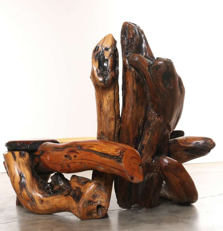Giant sculptural redwood burl wood armchair with amazing organic shapes flowing throughout the chair.   Table like armrests create the perfect resting place to hold drink, arms or other objects.

Redwood is a very peculiar and highly figured wood,