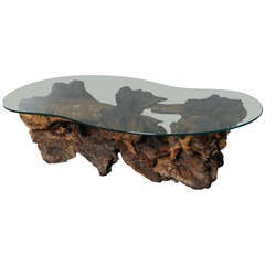 California Burl Wood Coffee Table with Amoeba Glass Top