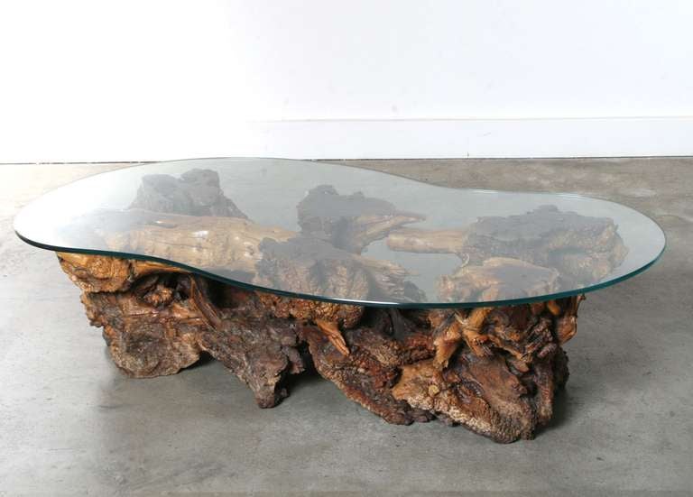 California Burl Wood Coffee Table with Amoeba Glass Top 2