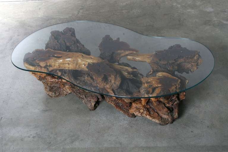 Mid-Century Modern California Burl Wood Coffee Table with Amoeba Glass Top