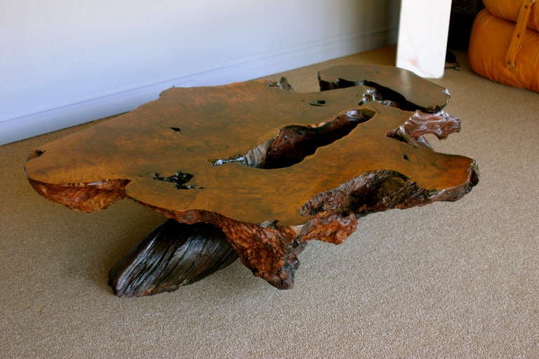 Redwood burled root coffee table.