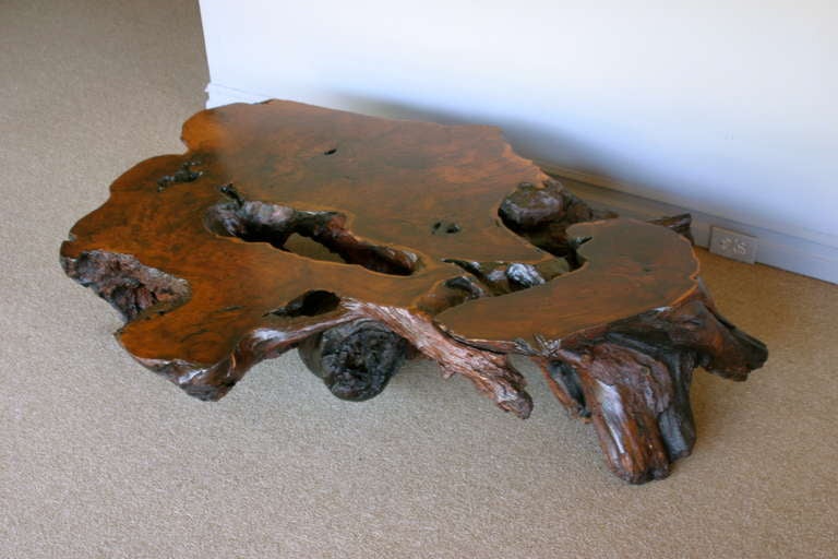 Late 20th Century Redwood Burled Root Coffee Table