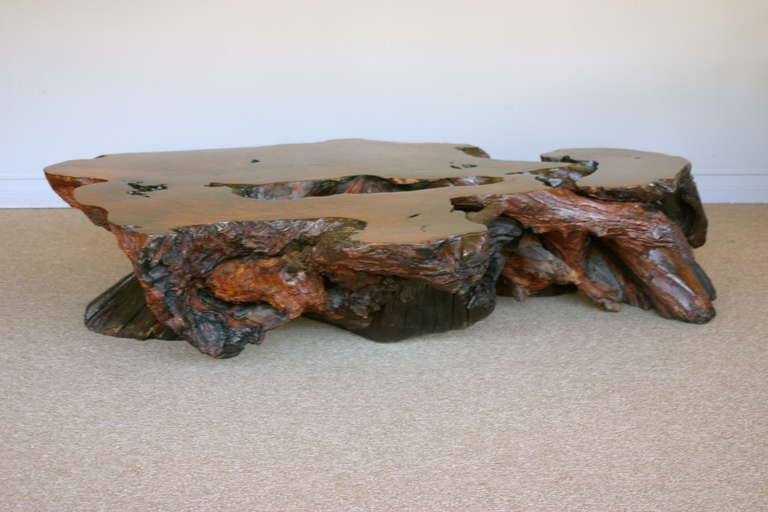 Redwood Burled Root Coffee Table In Excellent Condition In Costa Mesa, CA