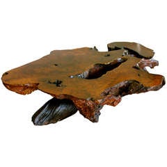 Vintage Redwood Burled Root Coffee Table