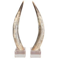 Vintage Pair of Tall Steer Horns on a Lucite Base