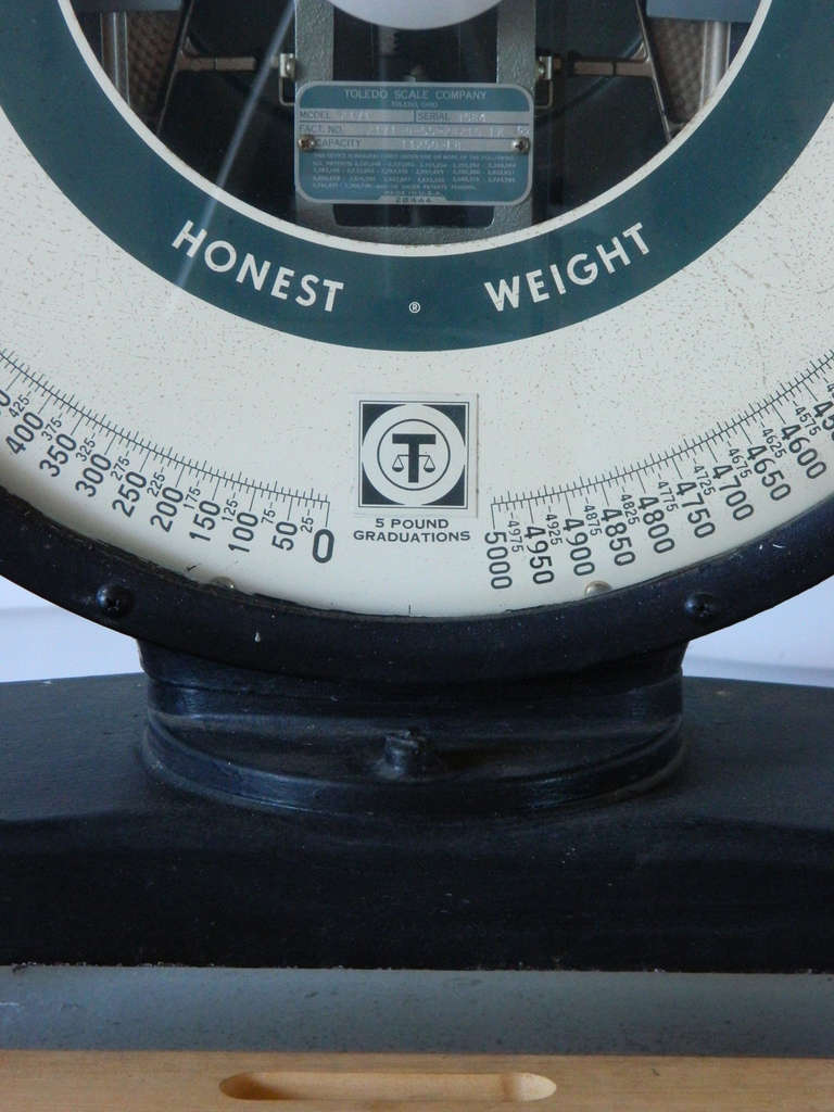publix scale