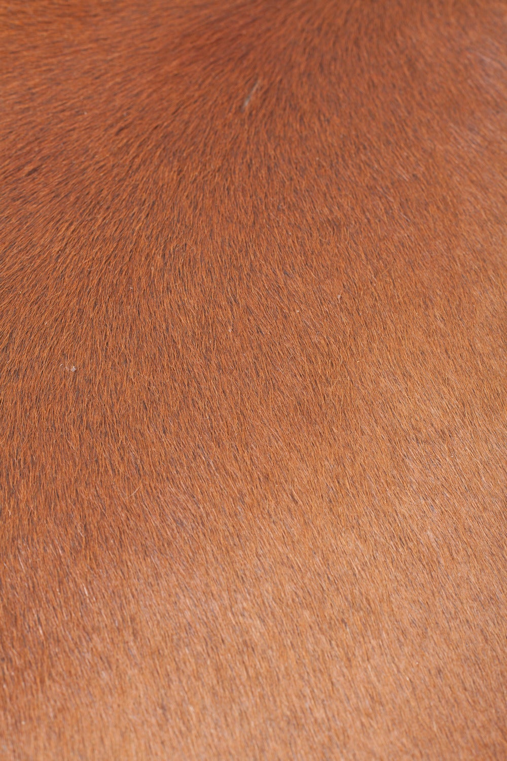 Vintage Inspired Cowhide Ottoman or Coffee Table 3