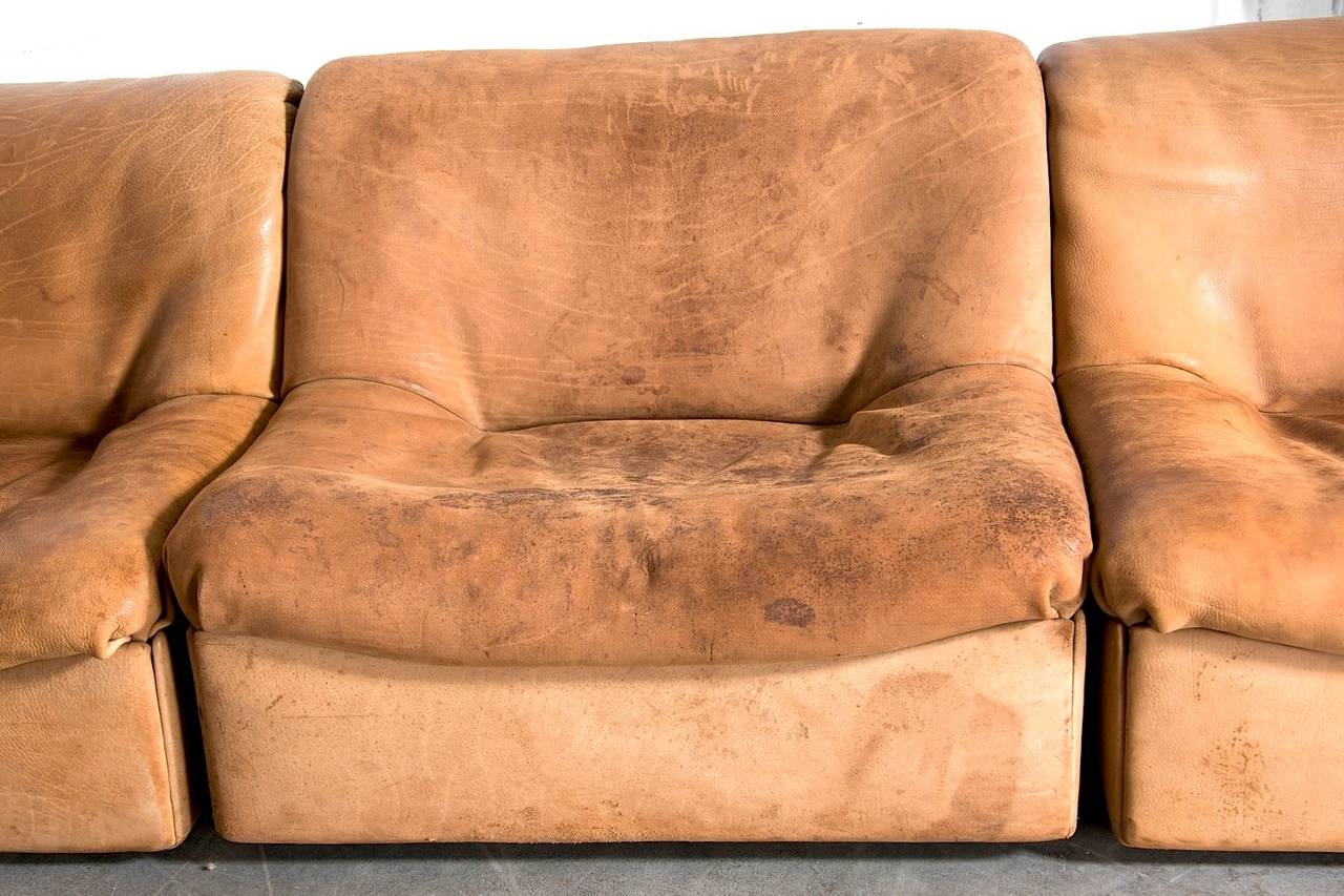 buffalo sofa
