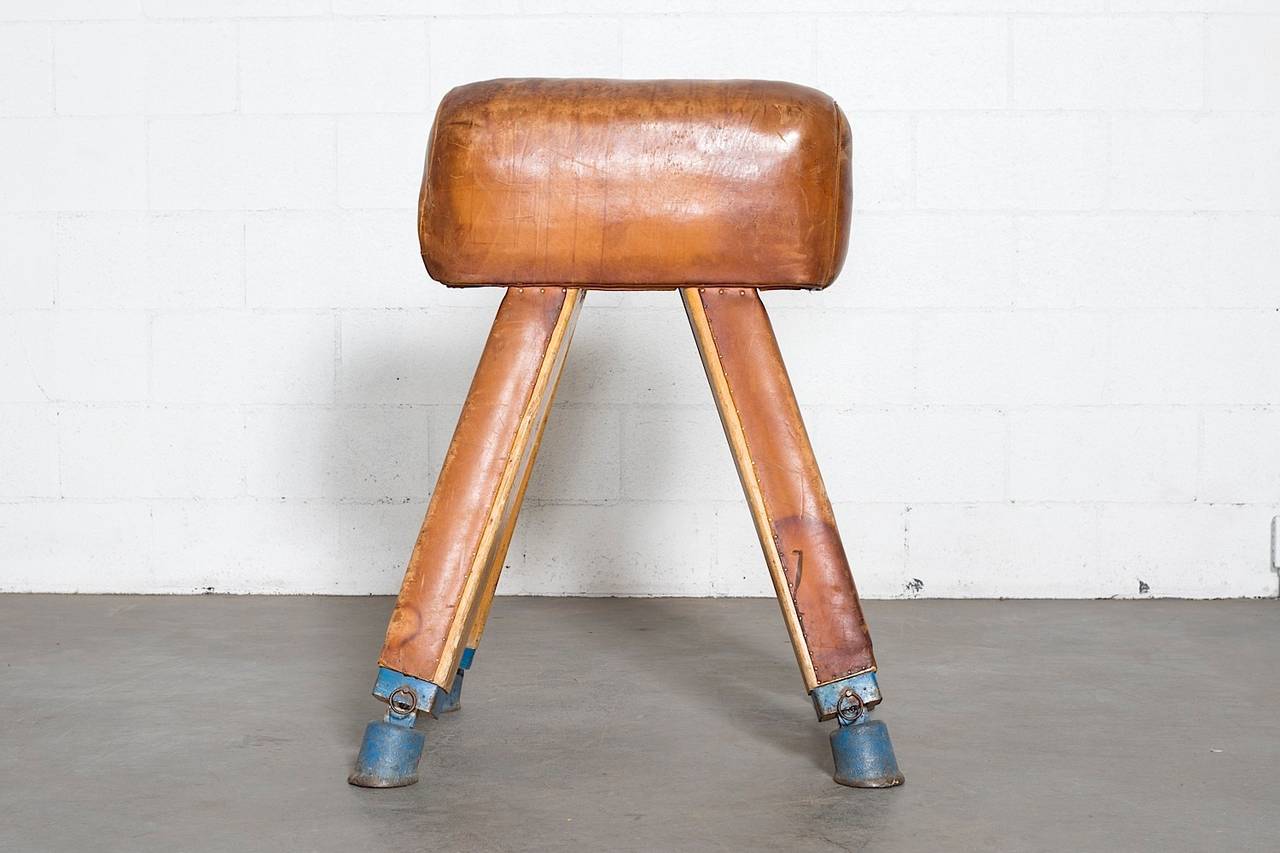 Vintage Gymnasium Horse Vault