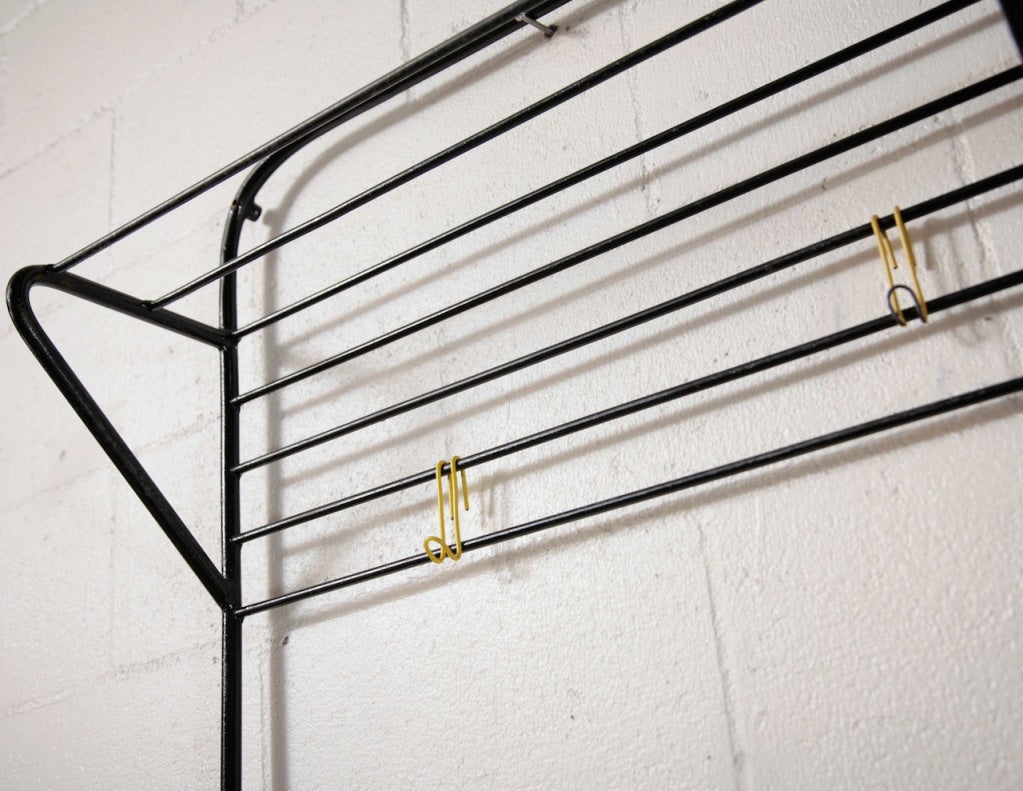 Coen de Vries Wall Mount Coat Rack with Wire Hooks 1