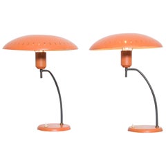 Pair of Salmon Louis Kalff Table Lamps for Philips