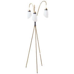 Stilnovo Style Brass Tripod Floor Lamp