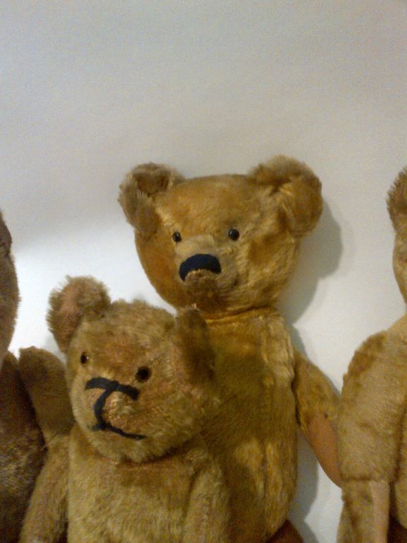 20th Century Family Of Seven Early Bears