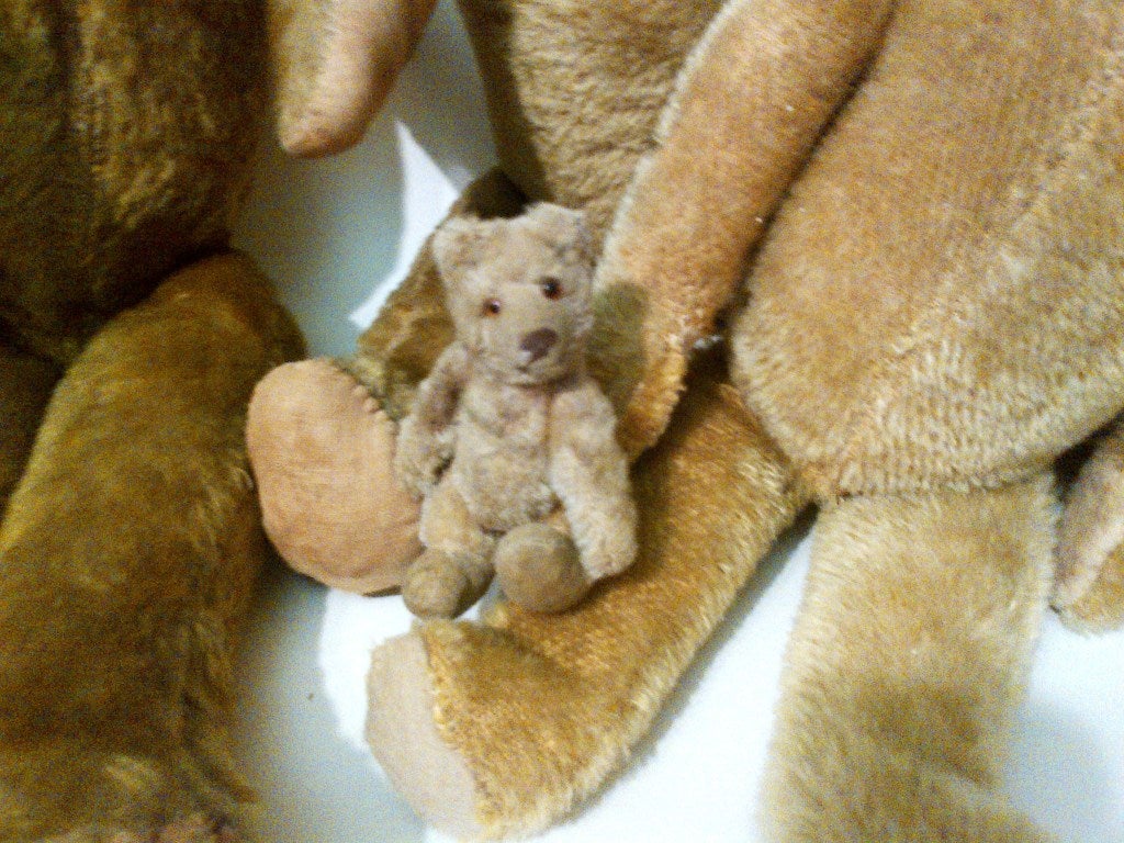 Family Of Seven Early Bears 2