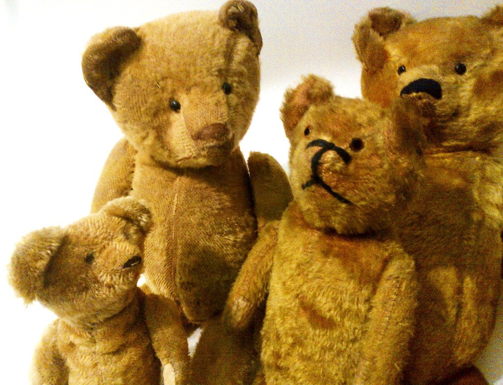 Family Of Seven Early Bears 3