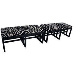 Zebra Print Bauhaus Style Benches