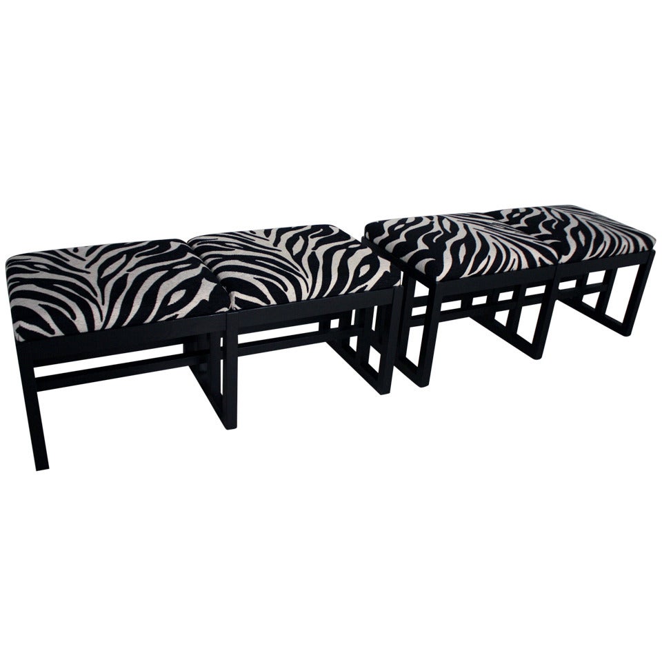 Zebra Print Bauhaus Style Benches at 1stDibs