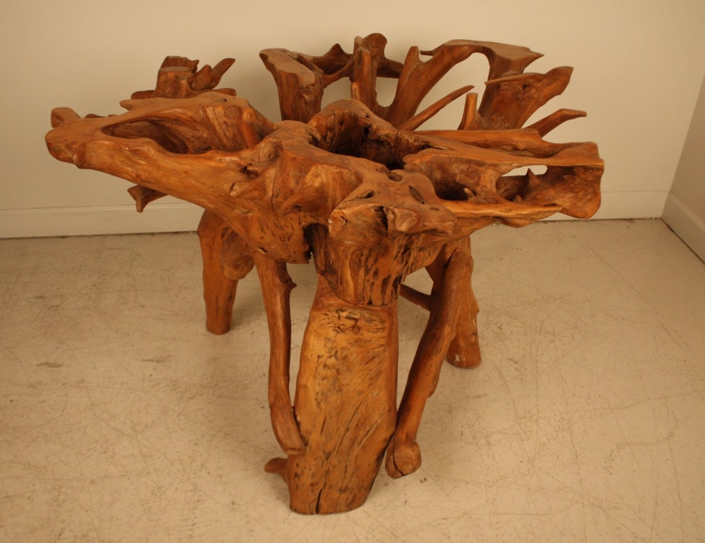 American Cypress Root Pedastel Table