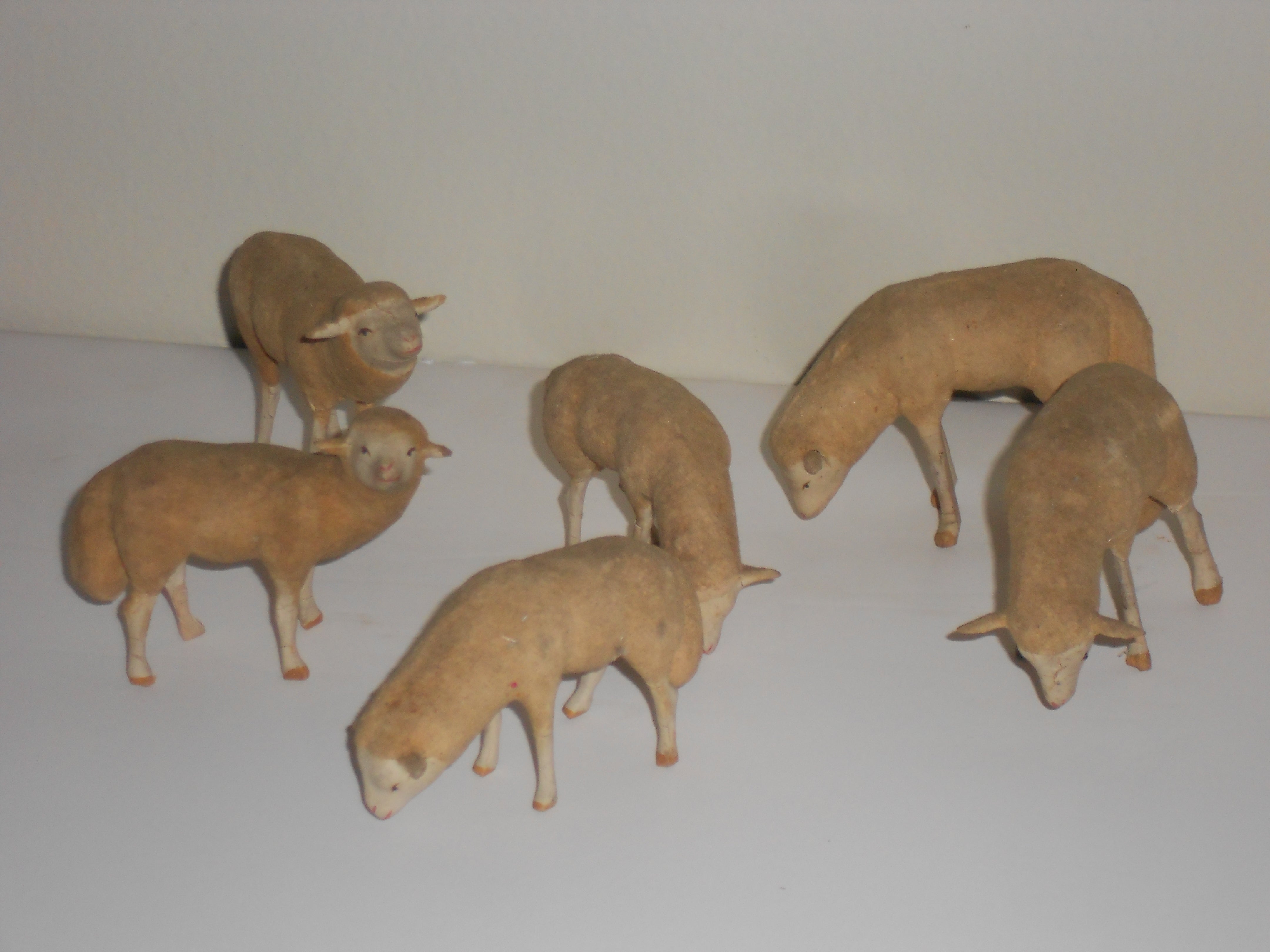 19c. Flock of miniature sheep from Germany