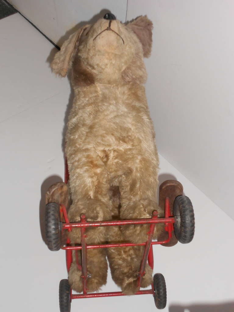 20th Century Antique Child's Toy Dog on Wheels