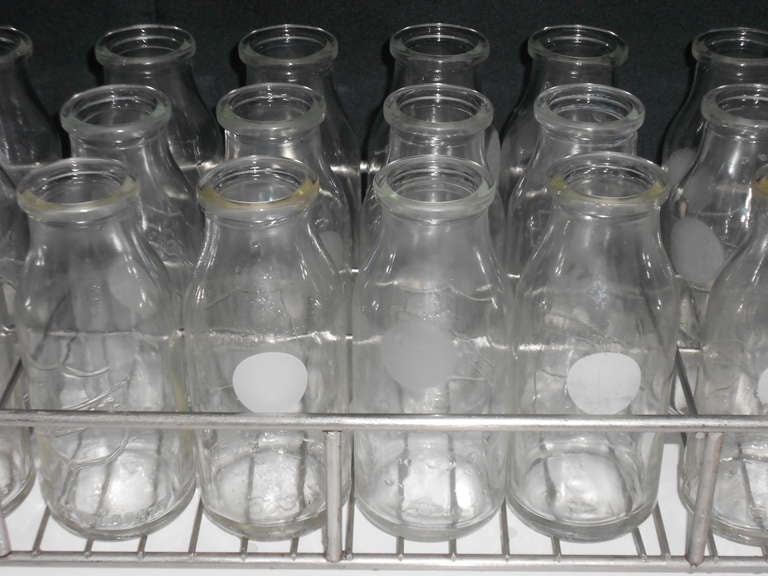 Three dozen (36) milk sampling bottles in stainless steel tray were used in a milk processing plant or cheese factory to test butter-fat content of milk. Each glass bottle holds 12 fluid ounces and has small writing disc for recording details of