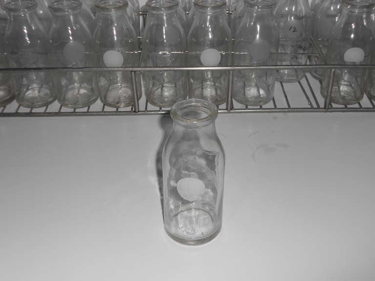 American Milk sampling bottles (36) from Mojommier in stainless steel tray