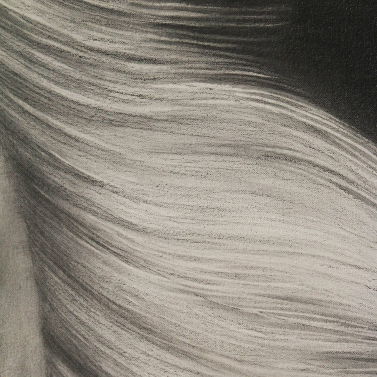 Very Large Horse Graphite and Charcoal Drawing by Joseph Piccillo