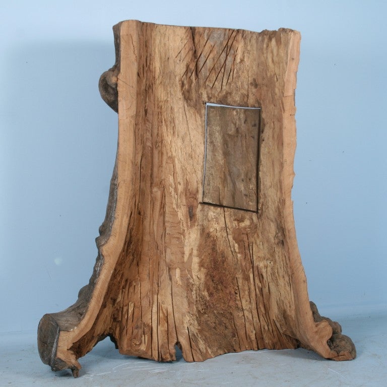 Mid-20th Century Magical Tree Trunk