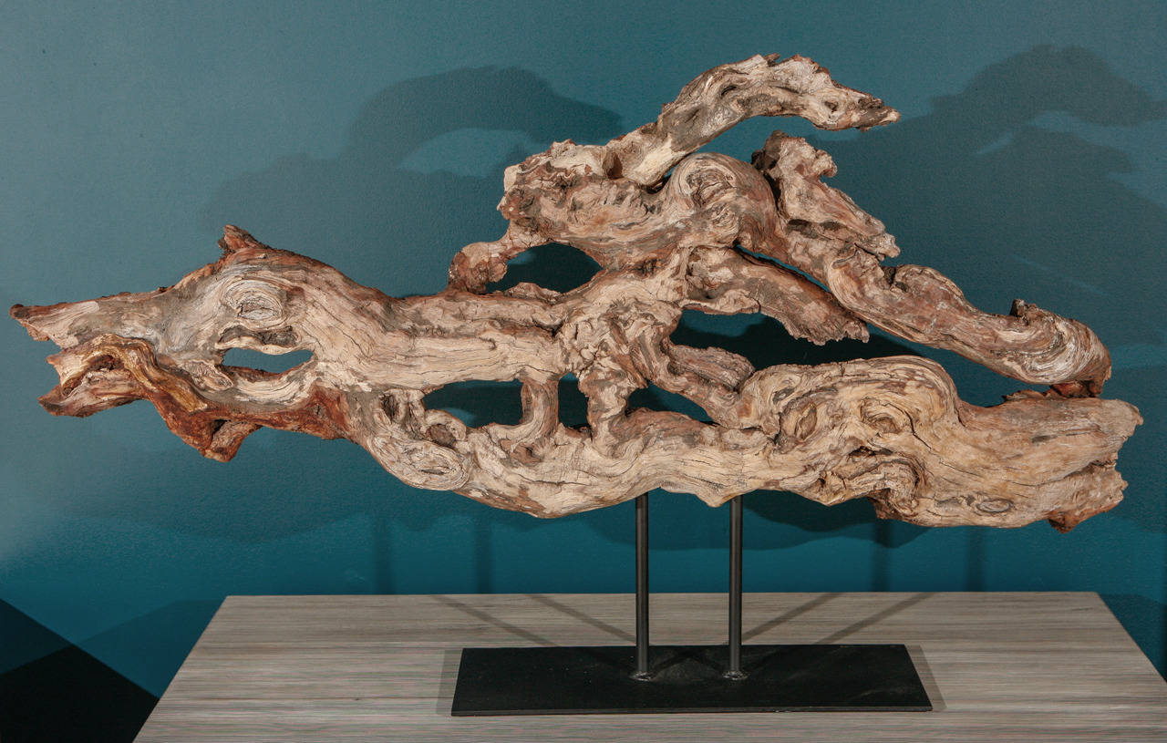 Contemporary style mounted sculptural driftwood of 42