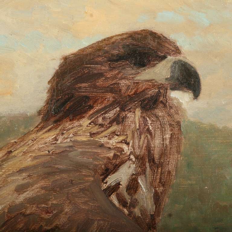 Danish Antique Oil Painting of Hawk/Falcon, Signed - Denmark circa 1880