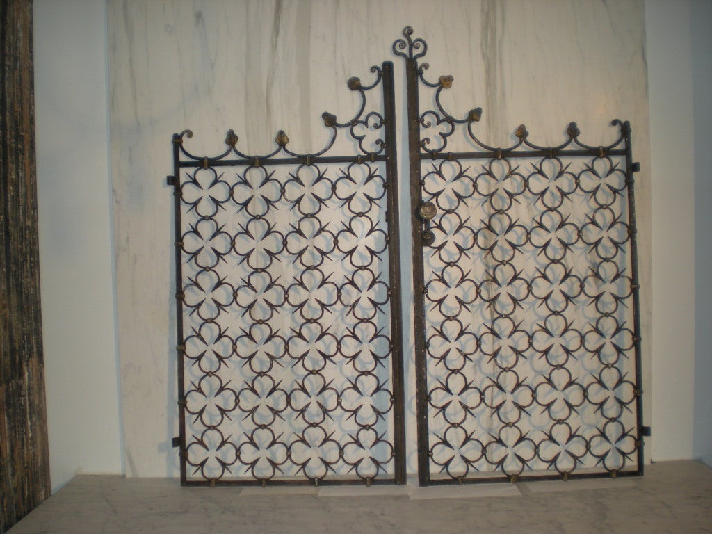 French Hand-Wrought Iron Gates