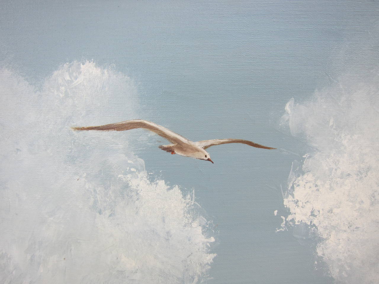 An oil painting of a single Seagull flying in the clouds in dirtwood frame. 
Inspired by 
