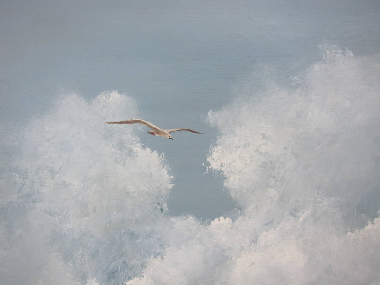 seagull painting