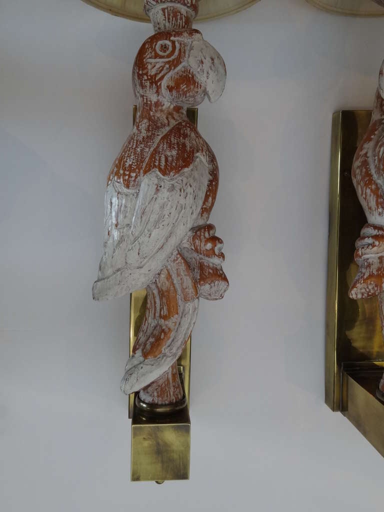 Late 20th Century Huge Pair of Sconces, Life size Parrots by Chapman