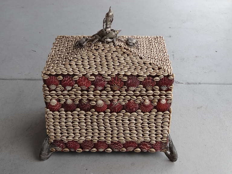 Large Box with Shells and Fauna
