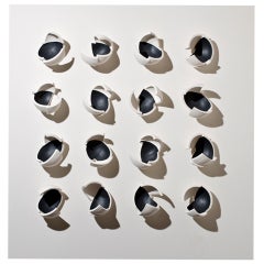 Anne Hirondelle "16 ways to look at a black bird" wall sculpture