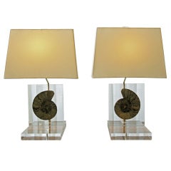 Pair of Mounted Amonite Fossil Lamps