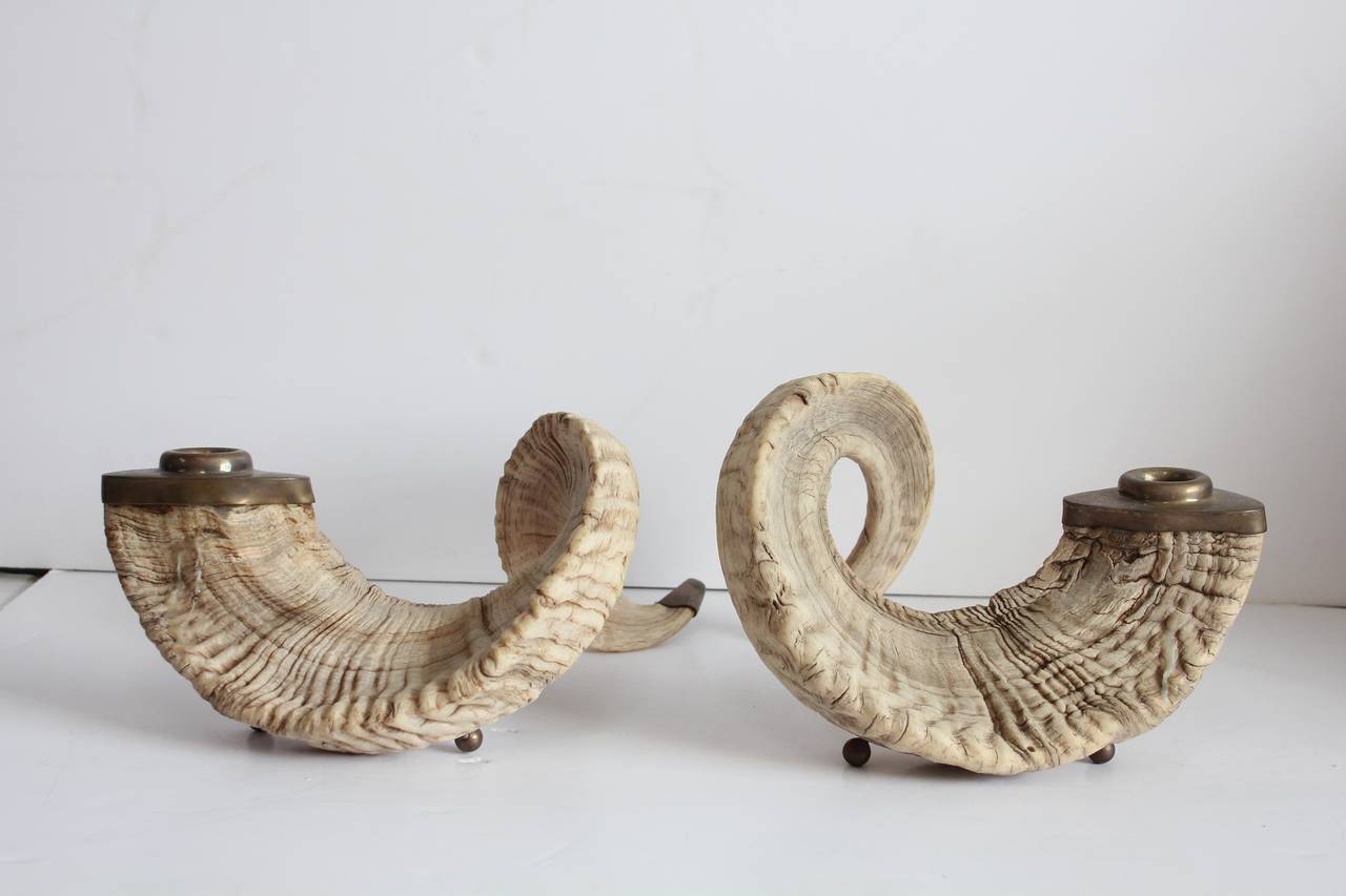 Pair of large ram horns and brass candlesticks.